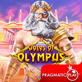 Cổng Olympus 555bl