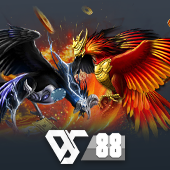 Sabong 555bl